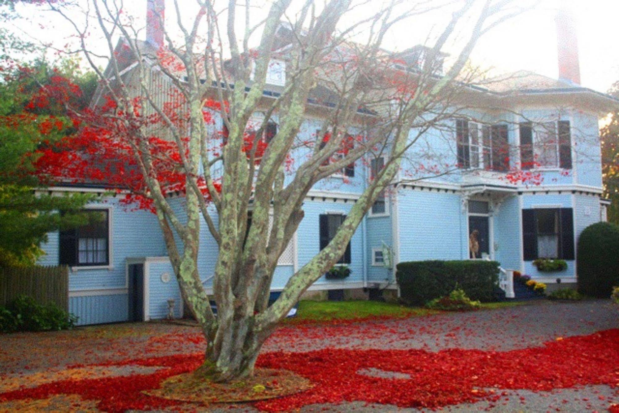 Architects Inn George Champlin Mason Newport Exterior photo